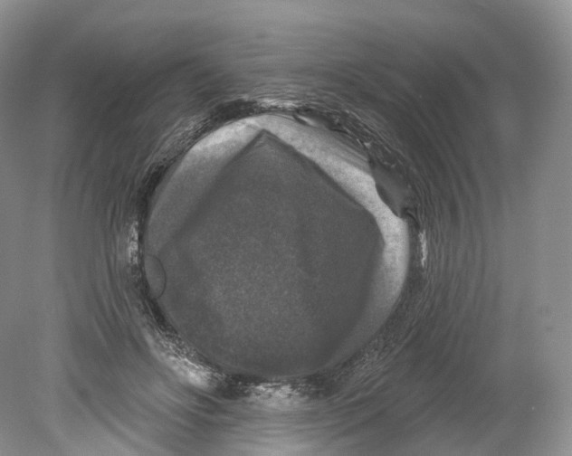 X0000078870502200612111717