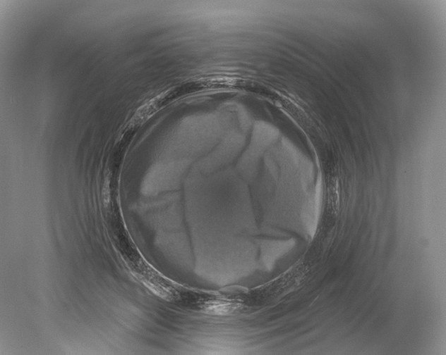 X0000078870504200612111717