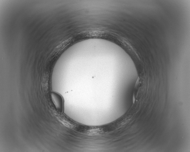 X0000078870505200612111717