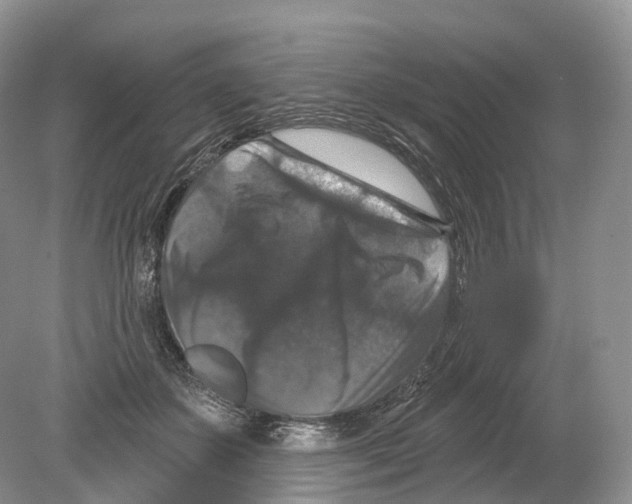 X0000078870507200612111717