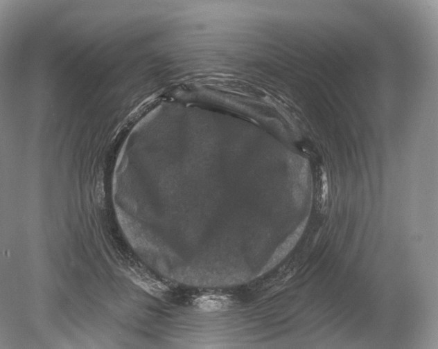 X0000078870508200612111717