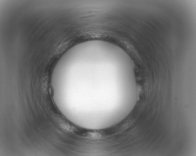 X0000078870509200612111717