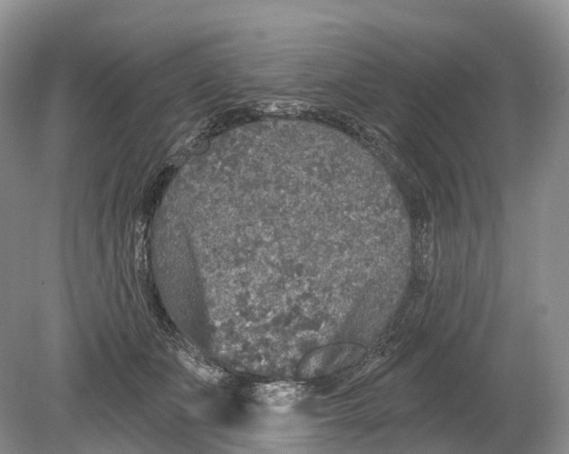 X0000078870511200612111717