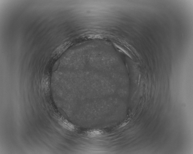 X0000078870513200612111717