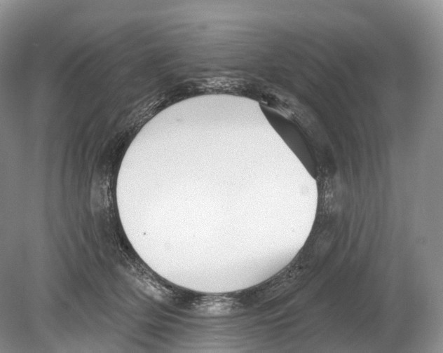 X0000078870514200612111717