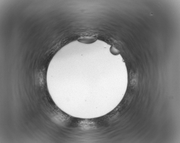 X0000078870515200612111717