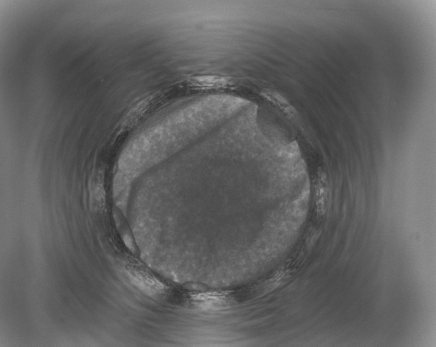 X0000078870516200612111717