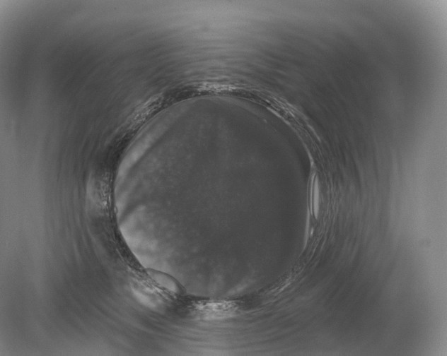 X0000078870517200612111717