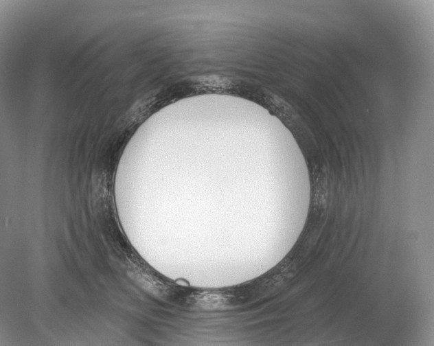 X0000078870518200612111717