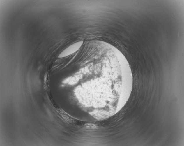 X0000078870519200612111717