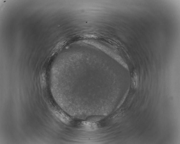 X0000078870520200612111717