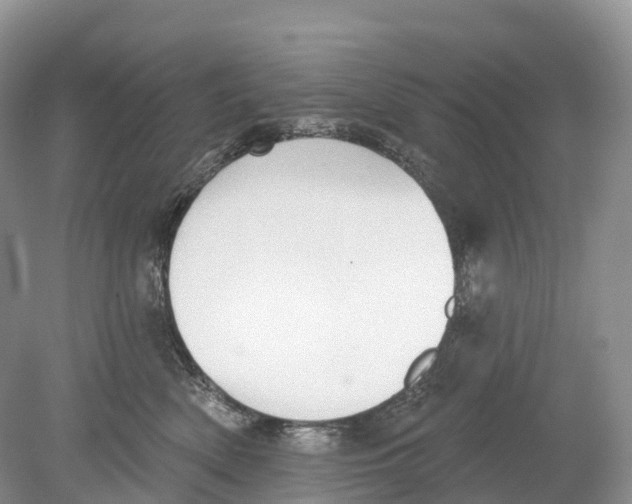 X0000078870522200612111717