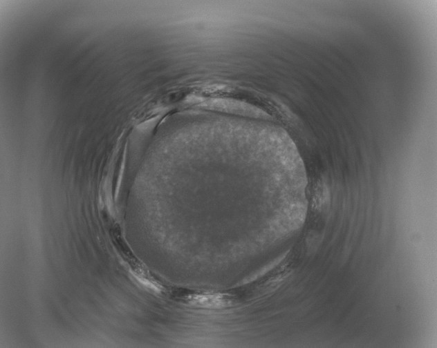 X0000078870524200612111717