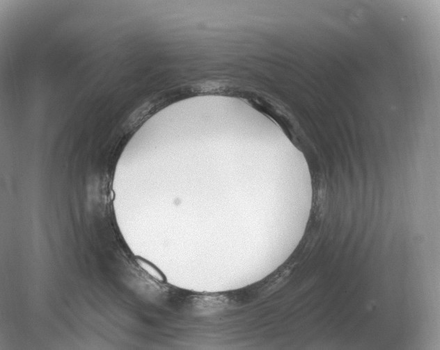 X0000078870525200612111717