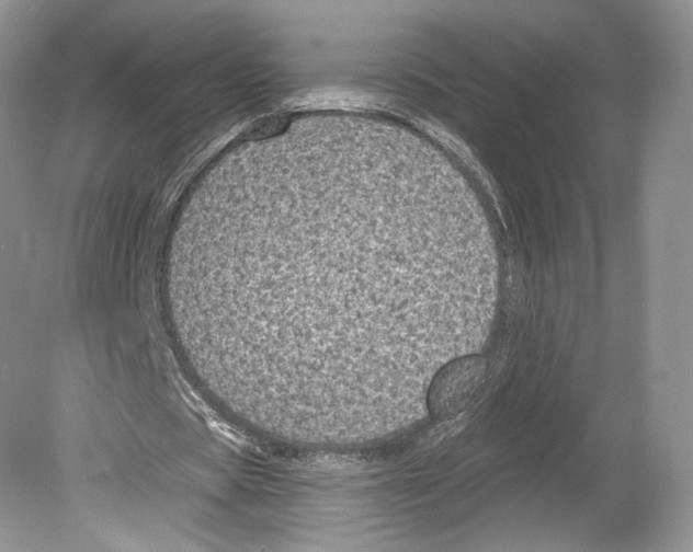 X0000078870529200612111716