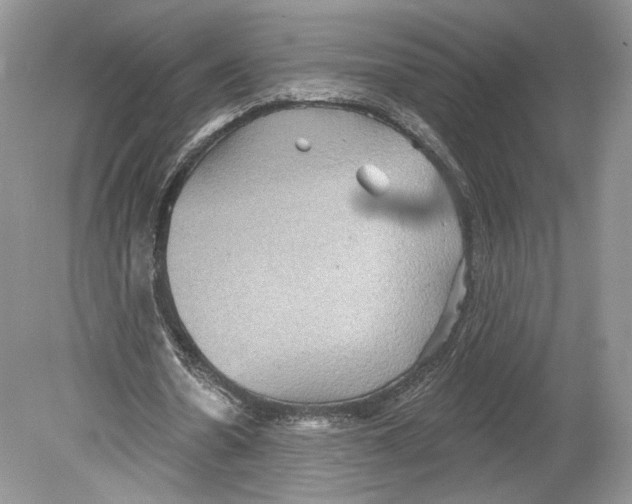 X0000078870530200612111716