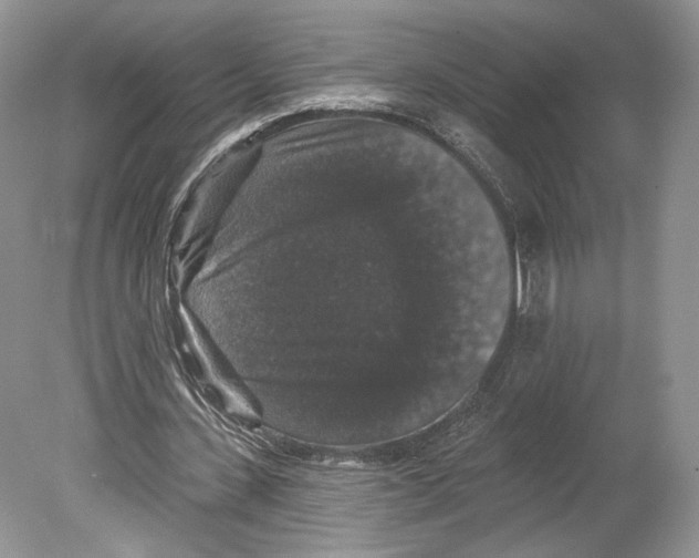 X0000078870531200612111716