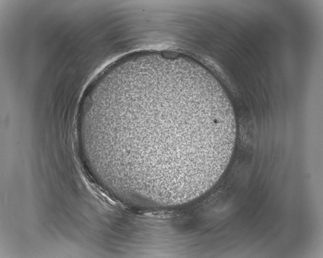 X0000078870532200612111716