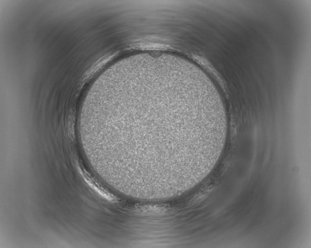 X0000078870533200612111716