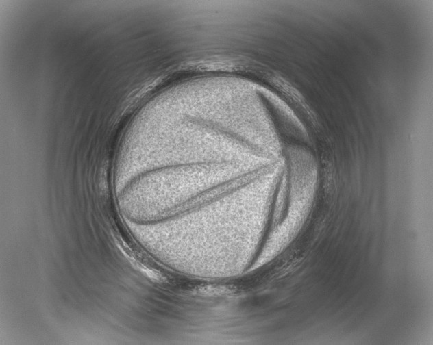 X0000078870537200612111716