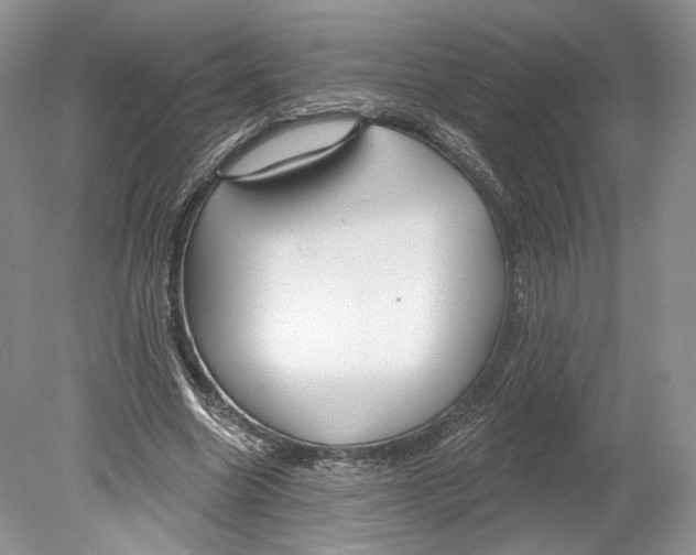 X0000078870538200612111716