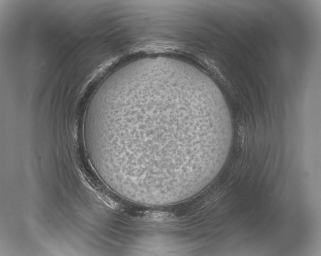 X0000078870539200612111716