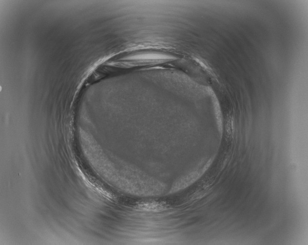 X0000078870540200612111716