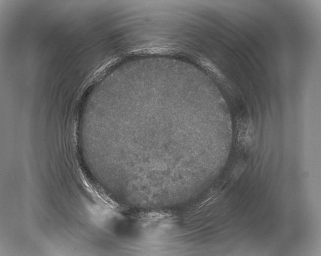 X0000078870542200612111716