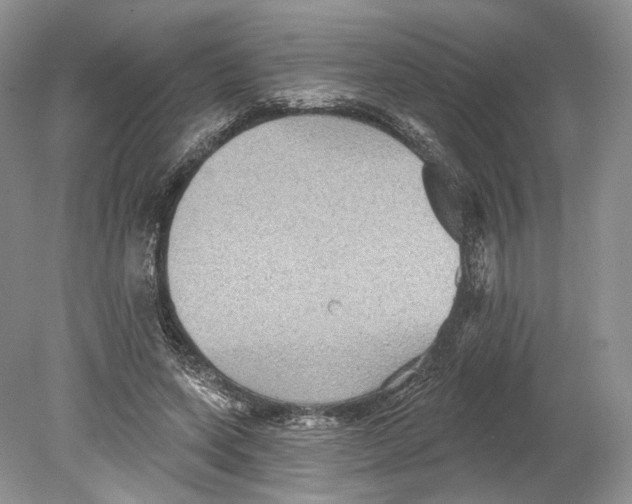 X0000078870543200612111716