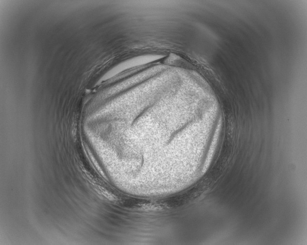 X0000078870545200612111716