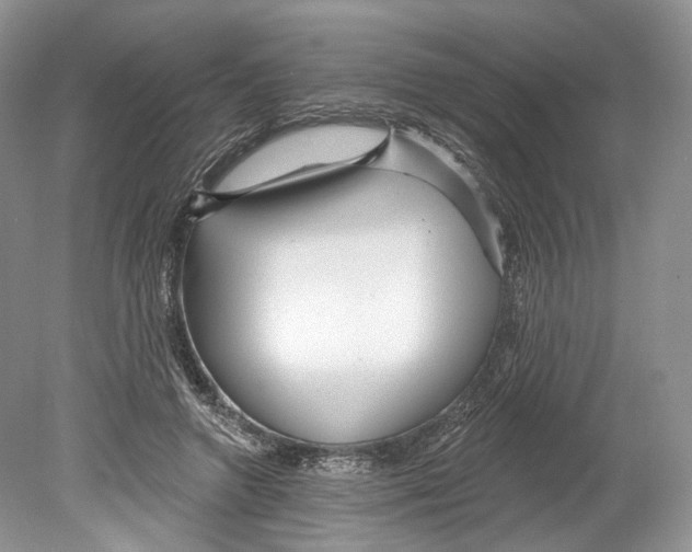 X0000078870546200612111716