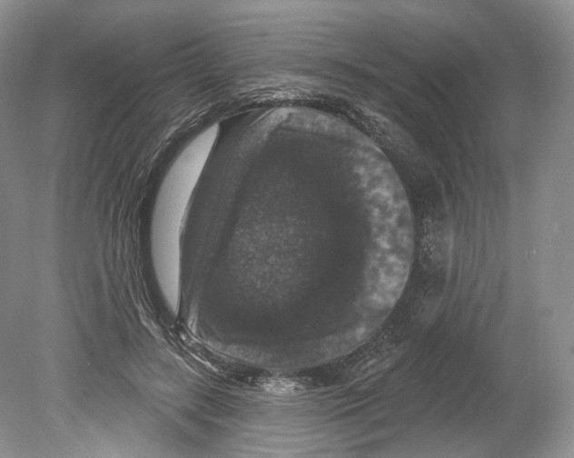 X0000078870547200612111716