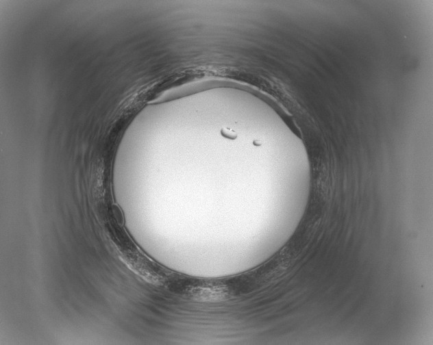 X0000078870548200612111716