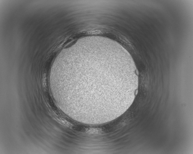 X0000078870549200612111716