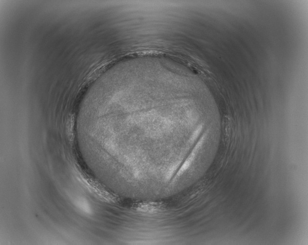 X0000078870550200612111716