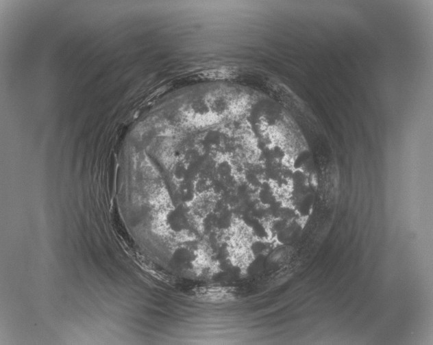 X0000078870553200612111716