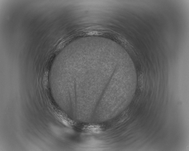 X0000078870554200612111716