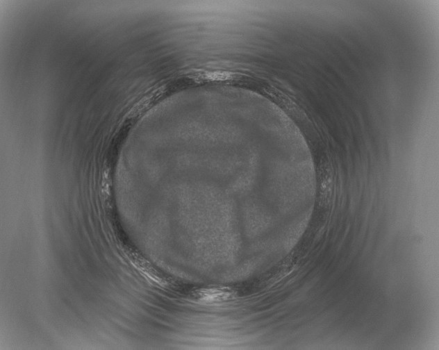 X0000078870555200612111716