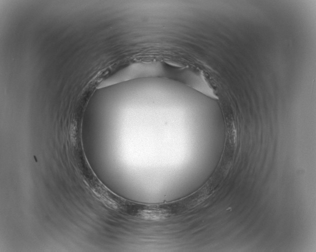 X0000078870556200612111716