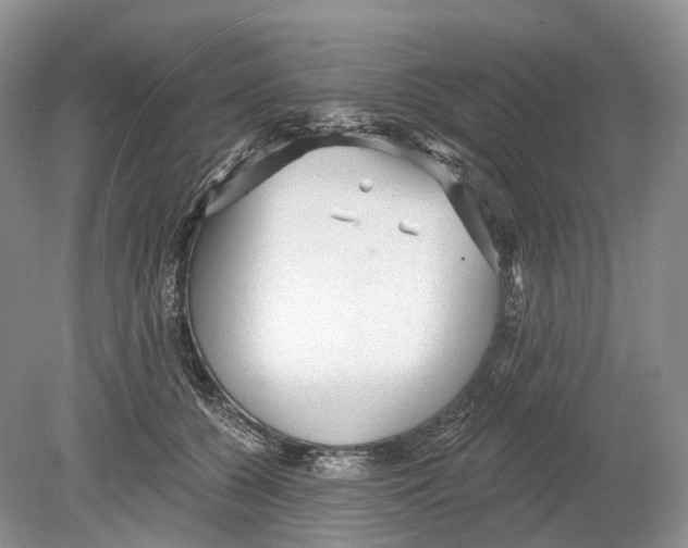 X0000078870560200612111716