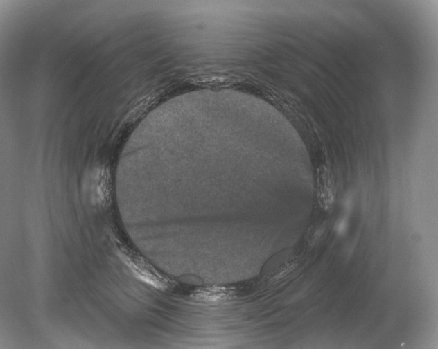 X0000078870563200612111716