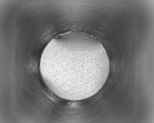 X0000078870564200612111716