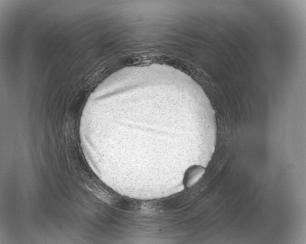 X0000078870565200612111716