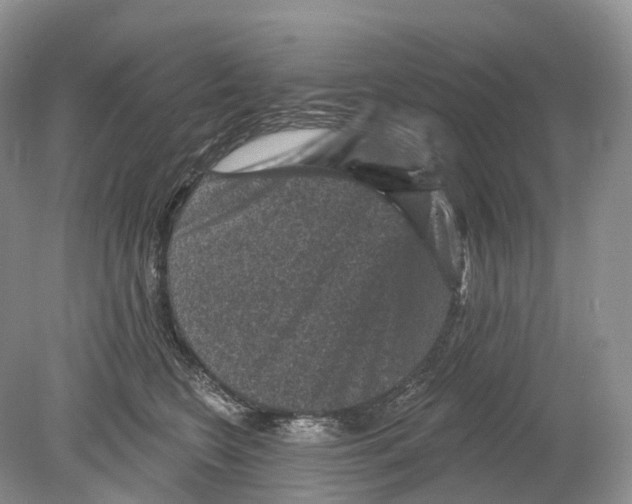 X0000078870566200612111716