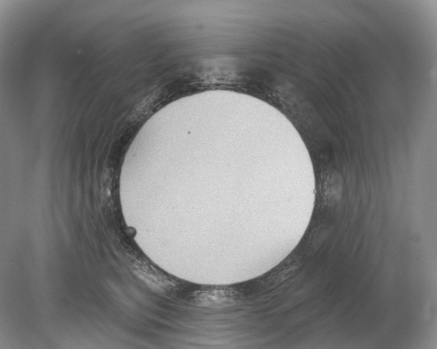 X0000078870567200612111716