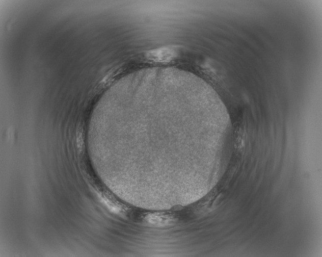 X0000078870568200612111716