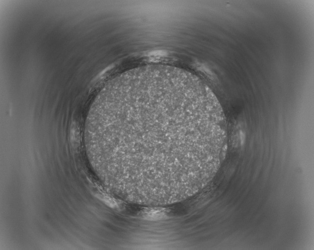 X0000078870569200612111716