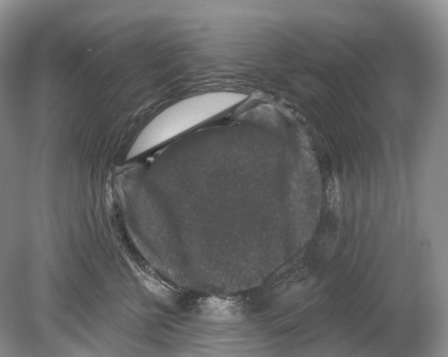 X0000078870570200612111717