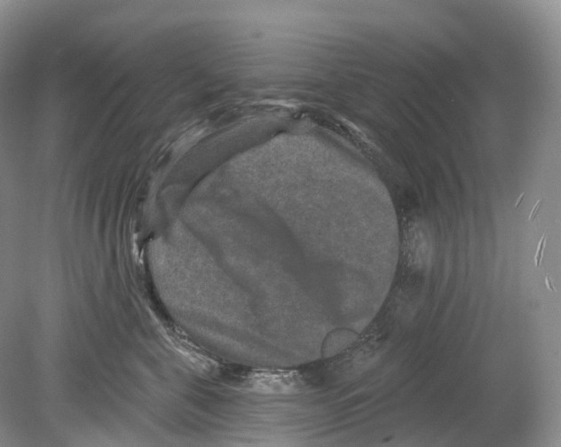 X0000078870571200612111717