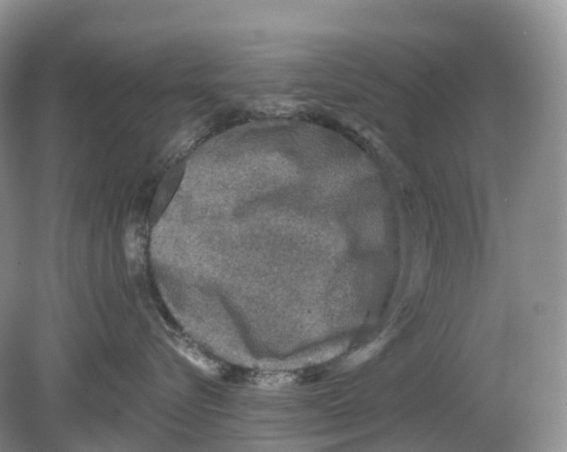 X0000078870576200612111717